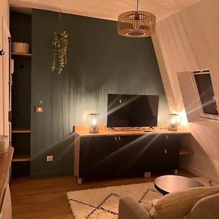 With Fabulous View On Roofs * Paris