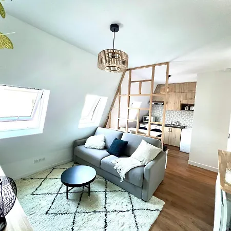 With Fabulous View On Roofs * Paris