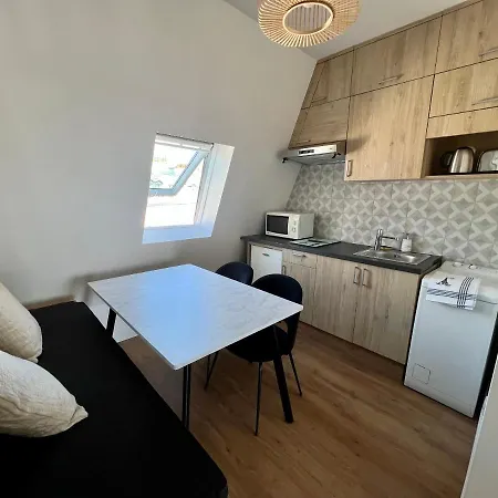 Rum i privatbostad With Fabulous View On Roofs Paris