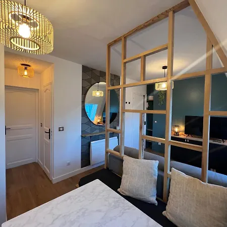 With Fabulous View On Roofs * Paris