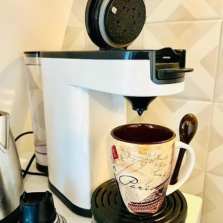 With Fabulous View On Roofs Paris