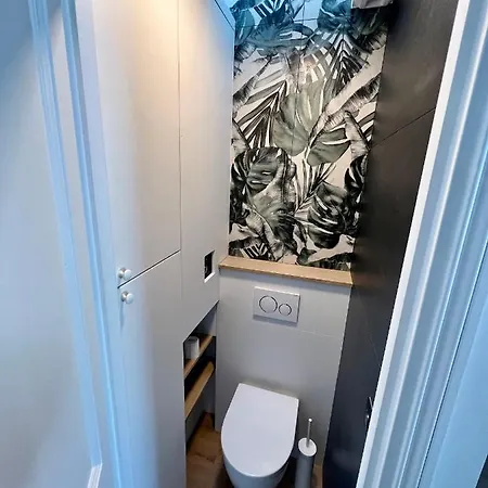 With Fabulous View On Roofs * Paris