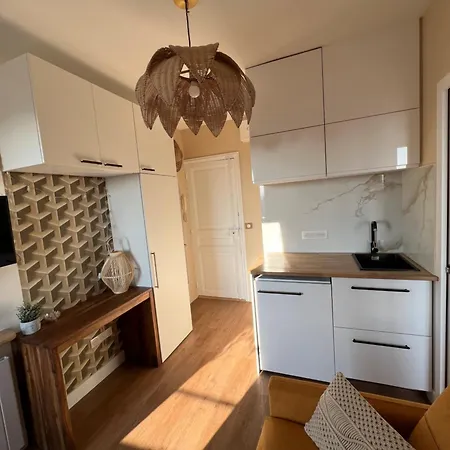 Rum i privatbostad With Fabulous View On Roofs Paris