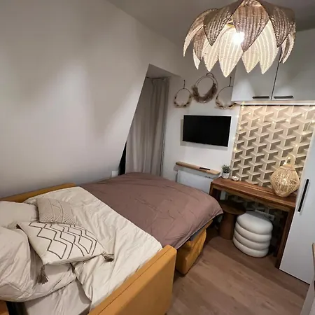 With Fabulous View On Roofs Rum i privatbostad Paris