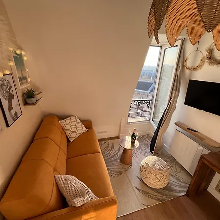 With Fabulous View On Roofs * Paris