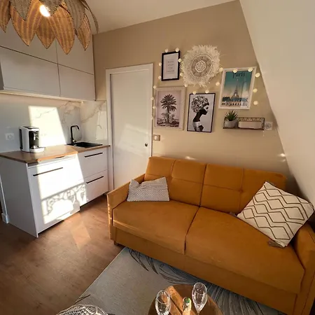 With Fabulous View On Roofs Paris