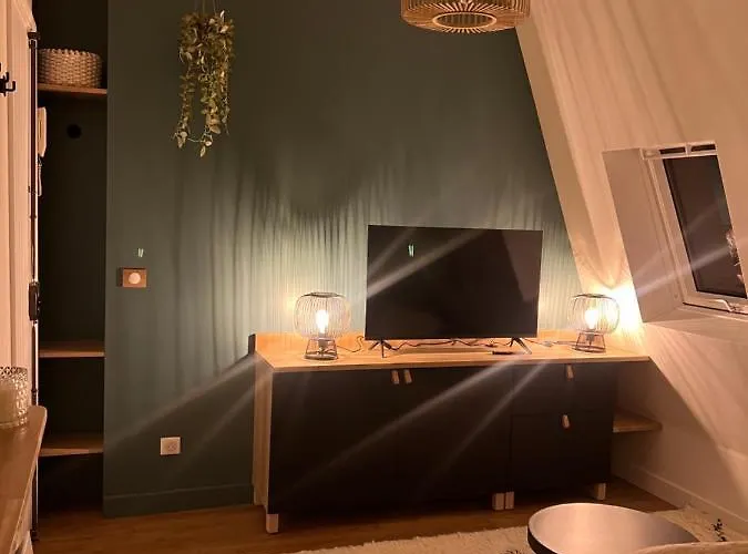 With Fabulous View On Roofs * 파리