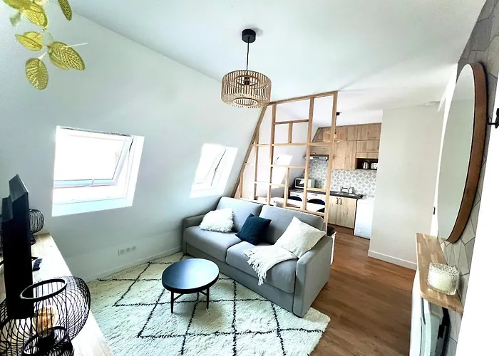 With Fabulous View On Roofs * 파리