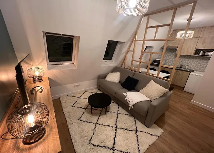 With Fabulous View On Roofs 파리