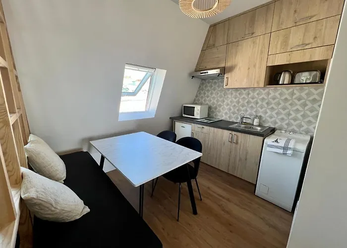 홈스테이 With Fabulous View On Roofs 파리