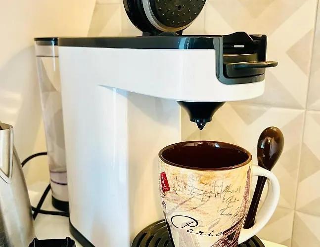 With Fabulous View On Roofs 파리